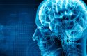 Conferencia de Neurociencias y Emociones: Desde las Trayectorias Des-adaptativas y la Psicología descarga