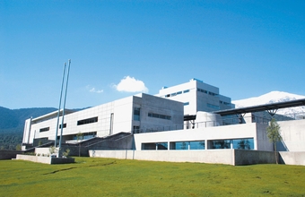 Académicos de Psicología UDD se adjudican dos proyectos Fondecyt regular como investigadores principales